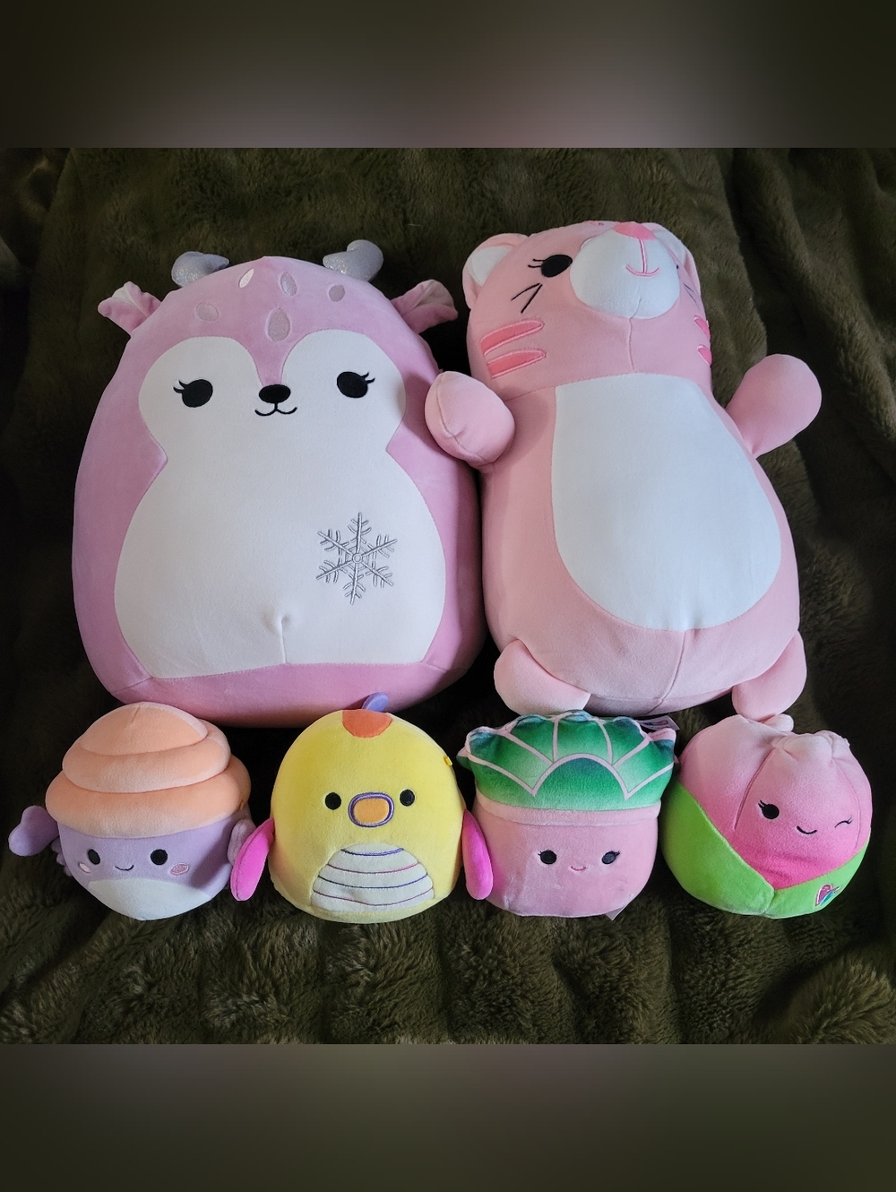 Squishmallows Bundle
